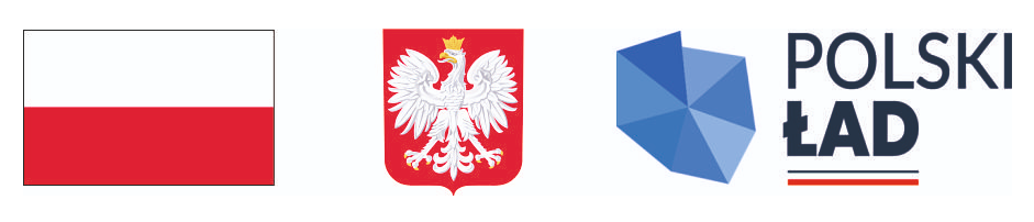 logo - Polski Ład.png